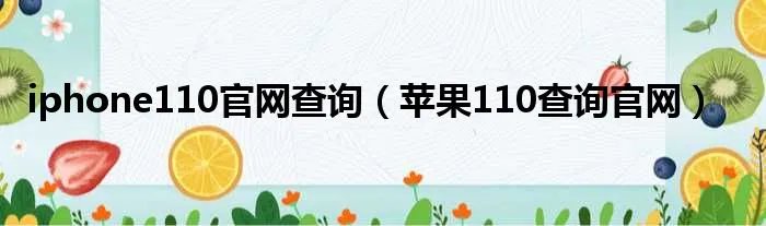 iphone110官网查询（苹果110查询官网）