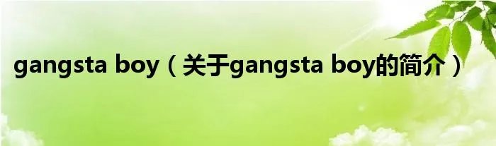 gangsta boy（关于gangsta boy的简介）
