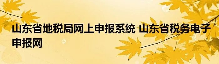 山东省地税局网上申报系统 山东省税务电子申报网