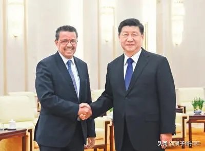 美国退出世卫组织有何后果?