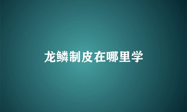 龙鳞制皮在哪里学