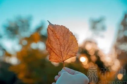 2021年9月4日黄历查询，是黄道吉日吗？