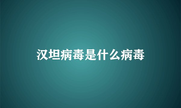 汉坦病毒是什么病毒