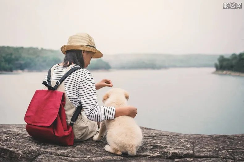 保安毒死11只宠物狗获刑3年 狗主人对判决结果仍不满意