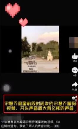 网友偶遇玄彬宋慧乔散步遛狗：这网友真是分析高手