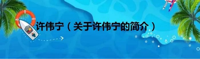 许伟宁（关于许伟宁的简介）