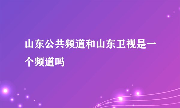 山东公共频道和山东卫视是一个频道吗