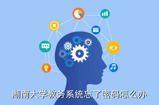 湖大教务系统，湖南大学教务系统