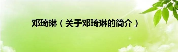 邓琦琳（关于邓琦琳的简介）