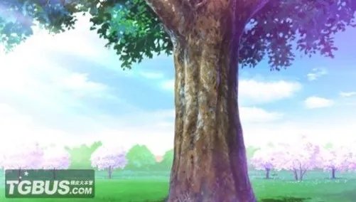 《心跳回忆4》全攻略