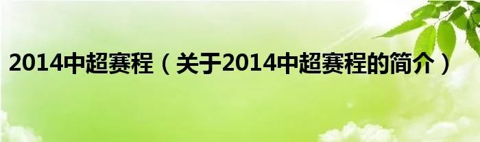 2014中超赛程（关于2014中超赛程的简介）