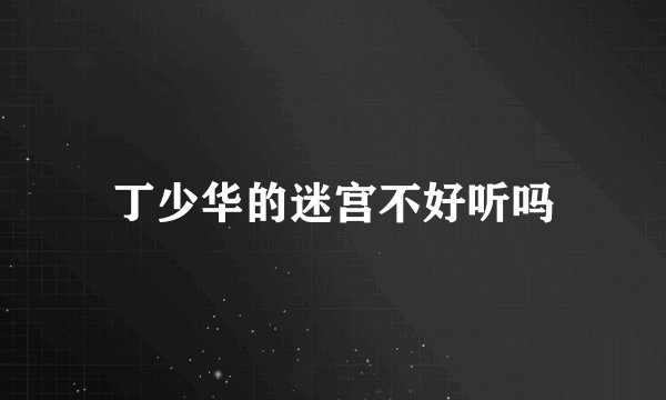 丁少华的迷宫不好听吗