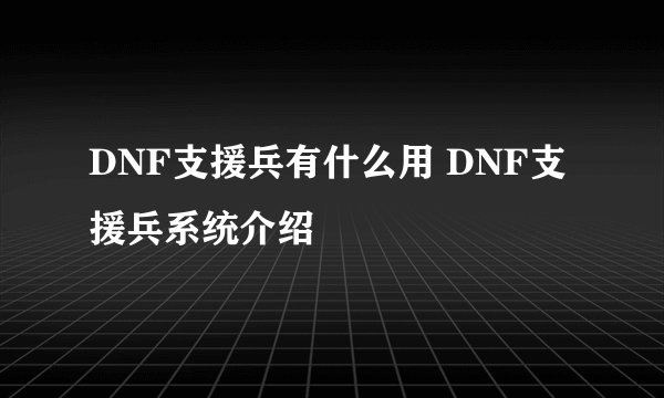 DNF支援兵有什么用 DNF支援兵系统介绍