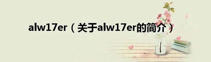 alw17er（关于alw17er的简介）