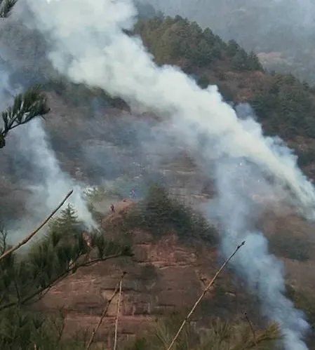 甘肃突发森林火灾最新消息 消防员进场紧急救火