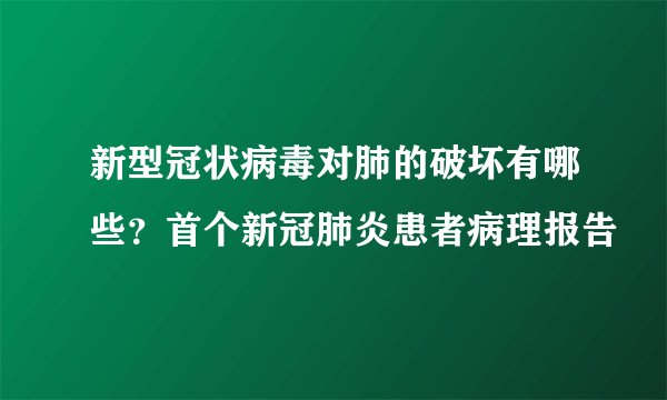 新型冠状病毒对肺的破坏有哪些？首个新冠肺炎患者病理报告