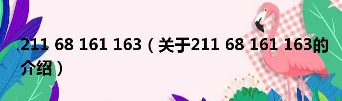 211 68 161 163（关于211 68 161 163的介绍）