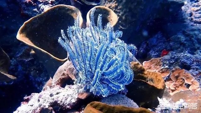 热浪岛旅游攻略有哪些?