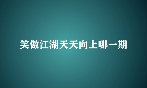 笑傲江湖天天向上哪一期