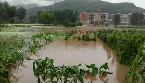 云南暴雨怎么回事 云南暴雨或破纪录的原因