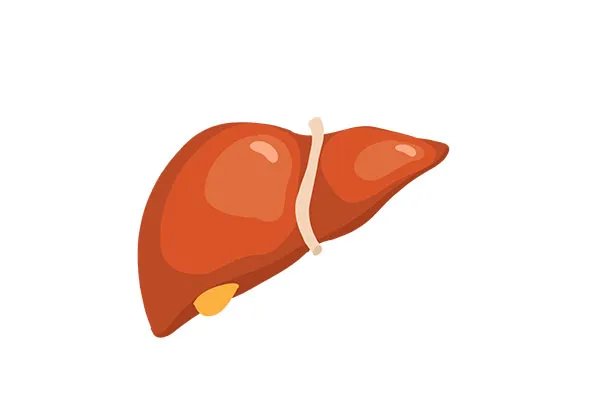 肝癌晚期症状 出现这些症状表明肝癌到了晚期