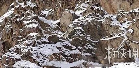 巨蛇伪装成莲蓬头吓死宝宝了！动物界的15大