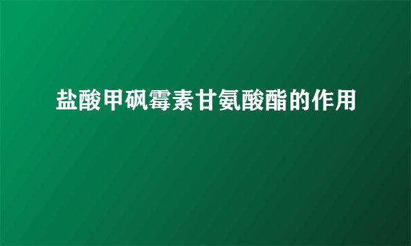盐酸甲砜霉素甘氨酸酯的作用
