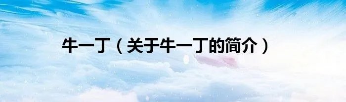 牛一丁（关于牛一丁的简介）