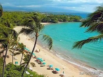 海洋生物资源最丰富的是哪个大洋？有什么依据？