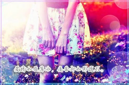 白玖月沈耀小说 白玖月沈耀867788免费阅读