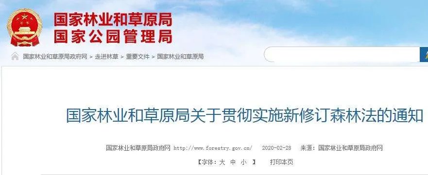 新森林法将实施有什么变化？取消木材运输许可