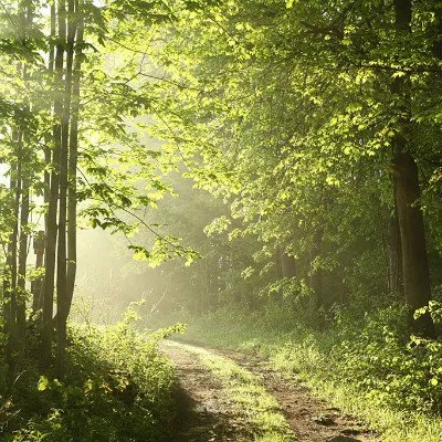 艾绒制作方法及艾绒的作用？