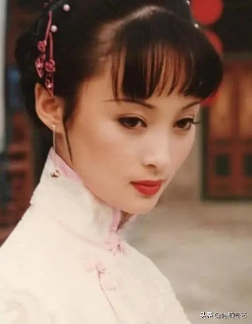 蒋勤勤演过哪些好看的电视剧？