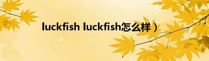 luckfish luckfish怎么样）