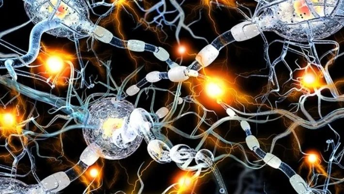 昨日新增本土确诊397例无症状703例 为什么无症状感染者这么多？