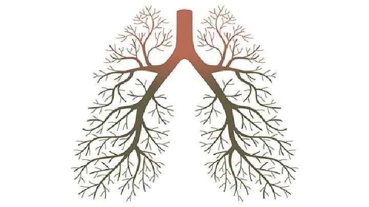 肺移植手术能治疗新冠肺炎吗 哪种情况要做肺移植