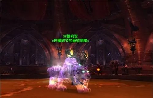 魔兽世界猎人稀有宠物有哪几只 tbc猎人稀有宠物一览