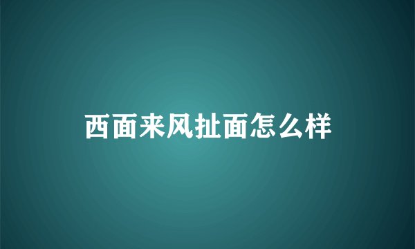 西面来风扯面怎么样