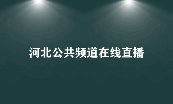 河北公共频道在线直播