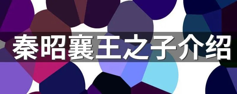 秦昭襄王之子介绍 秦昭襄王之子介绍有什么