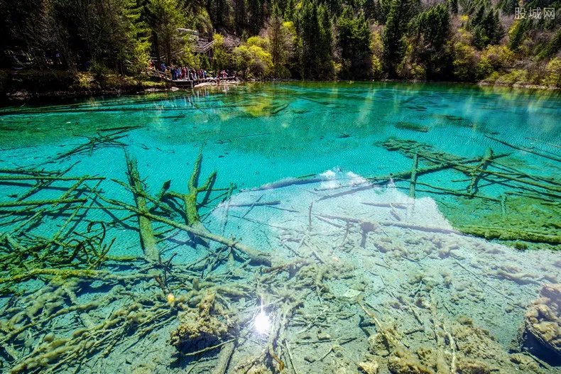九寨沟火花海将于国庆前开放 景区门票多少钱?