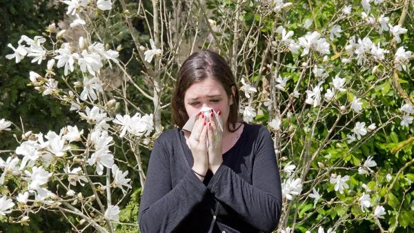 过敏性鼻炎的症状