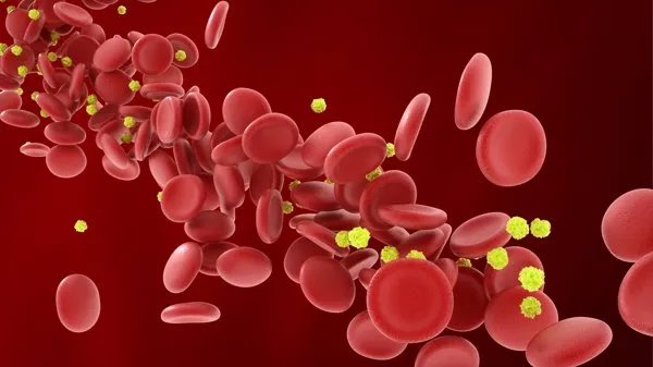 o型血的女孩子是什么性格