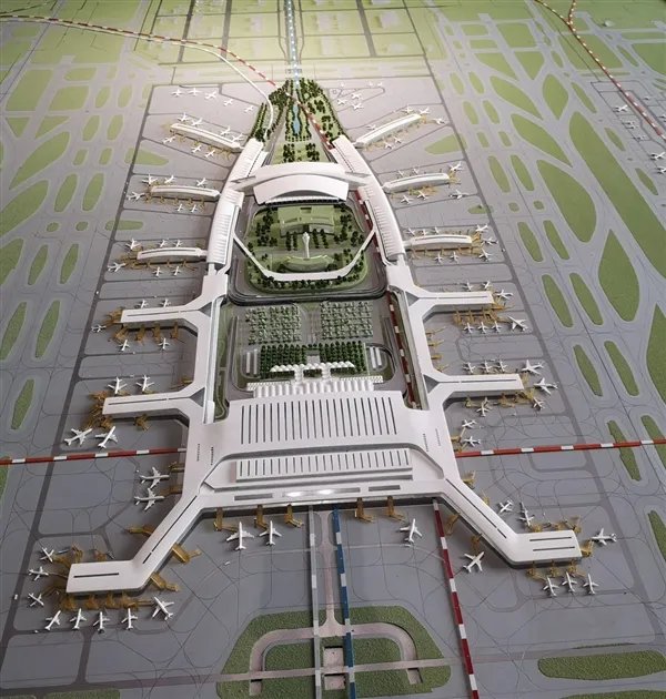 网友称广东最大的蟑螂是白云机场 官方亲自下场认领