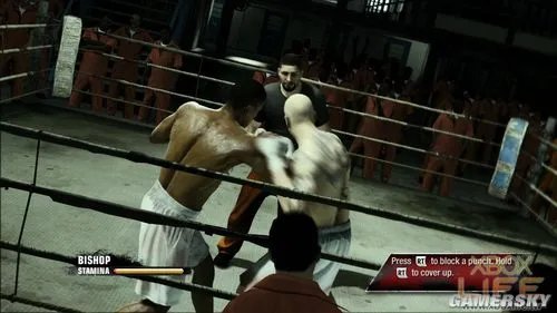 《拳击之夜5：冠军（Fight Night Champion）》游戏介绍与点评