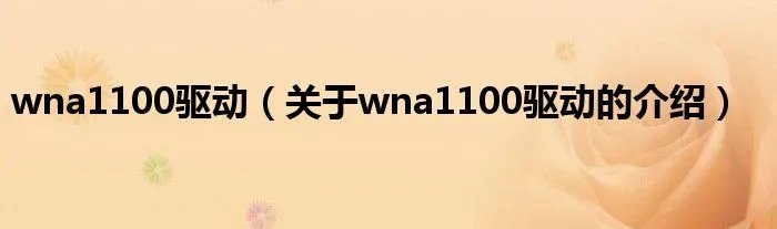 wna1100驱动（关于wna1100驱动的介绍）