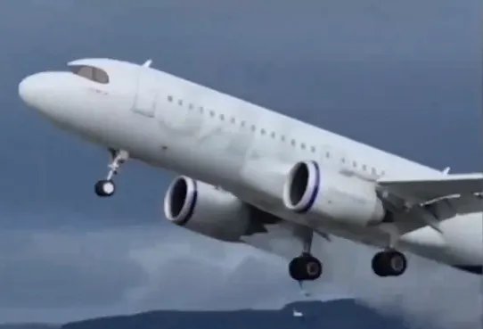 海鸥被吸入挪威客机瞬间蒸发！只剩一阵烟和羽毛