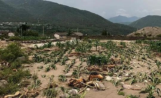 冕宁特大暴雨一家5口全部遇难 房屋被洪水冲垮现场一片狼藉