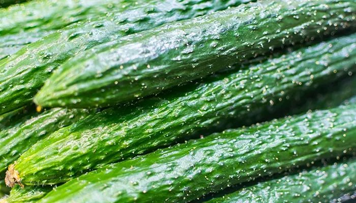 木犀瓜片是哪个地方的菜 木犀瓜片是哪里的菜