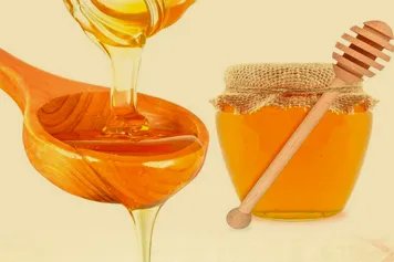 山蜂蜜的功效与作用